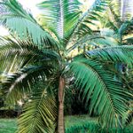 article image - 